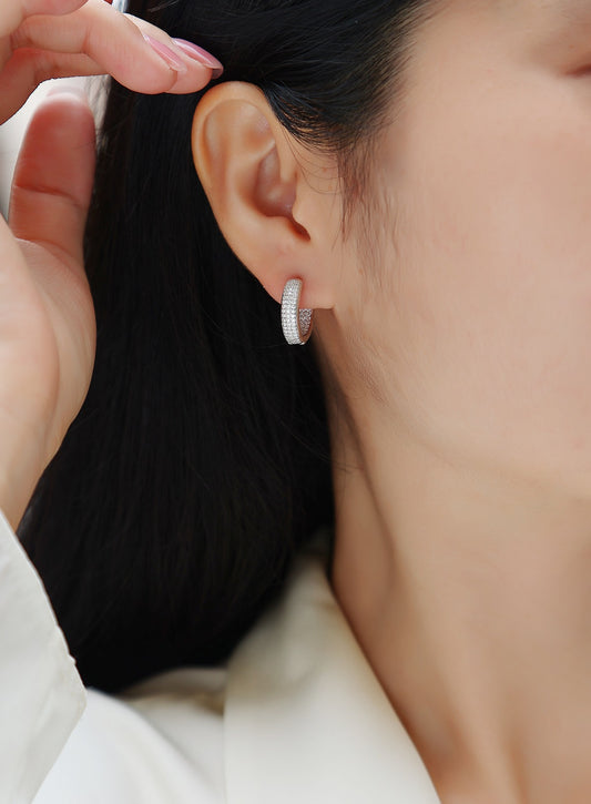 Earrings Jewelry Platinum-plated