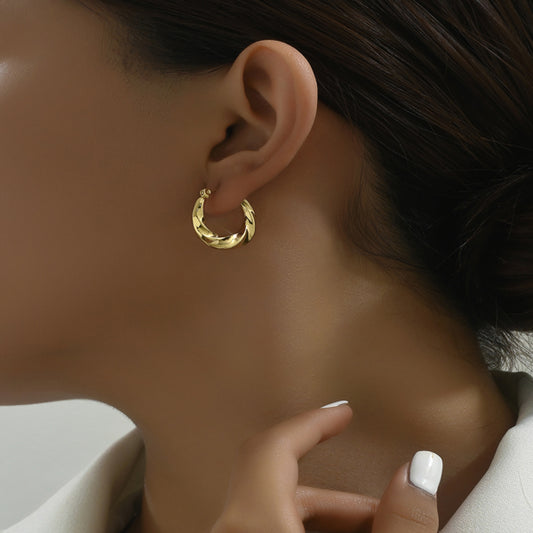 A Pair Of Luxury And Gorgeous Temperament Earrings